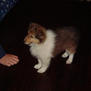 Photo25