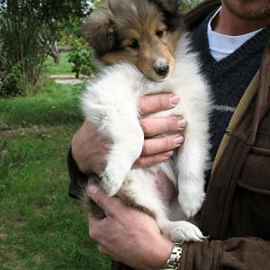 Photo22