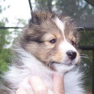 My Little Peanut - Meggie 6 wks