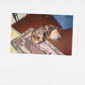 Lady sleeping