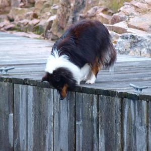 OK!  I'm going for it...1-2-3...holding my breath!