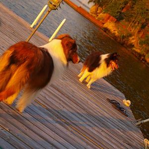 Too many drinks on the dock when Mom took this picture....nobody standing straight!    :-)
