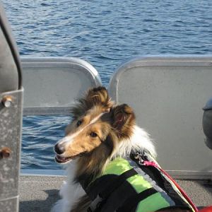 Chloe on the pontoon boat!