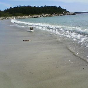 August 2009 070
Wave Herding at Crystal Crescent Beach