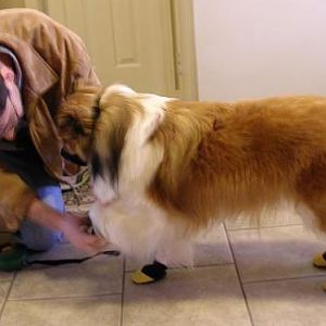 I've got booties. Just watch, I'm going to be kicking these off as soon as I start running.