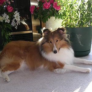 sunbathing