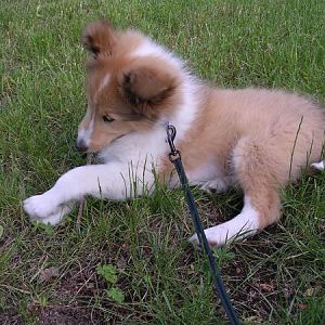 First day at my new home