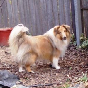 Deska - 13 months