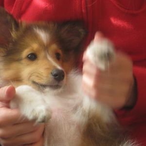 yay, you're home!