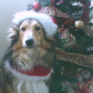 December 2009 095
