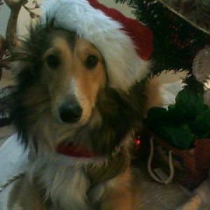 December 2009 097