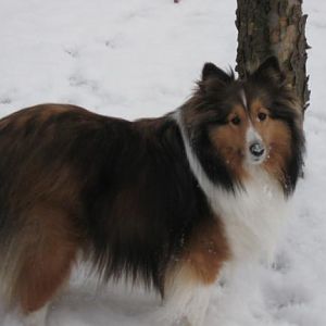12/16/09 - Snow on the nose!