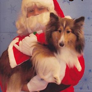 Well, not as anxious to see Santa this year.  You can tell by the ears being slightly off to the side.  She doesn't like people with hats on, ever, so