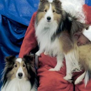 Bailey, Joey & Santa 09