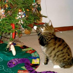 WhiskersChristmas