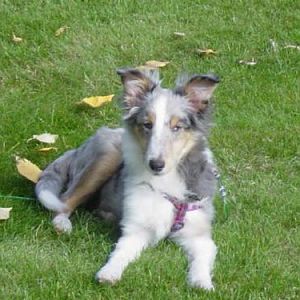 Deja at 4 months. She already knew she was a princess.