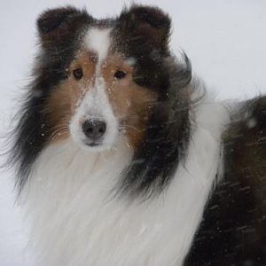 Bailey's glam shot