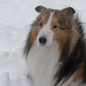 Joey's glam shot