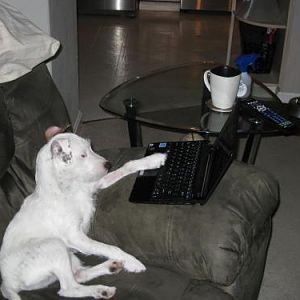 Darby was kickin back and doing some forum posting when Deja grabbed the camera.