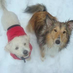 The boys in the snow and sleet