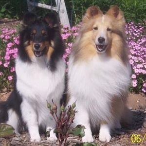 pike and diva