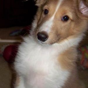 What toys? I hardly have any toys?
