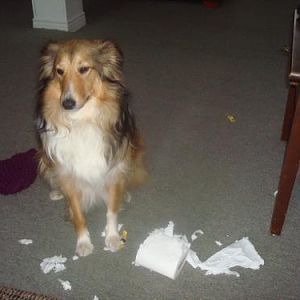 I did NOT do this..