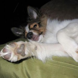 stop with the camera already