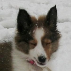 i really like this snow stuff