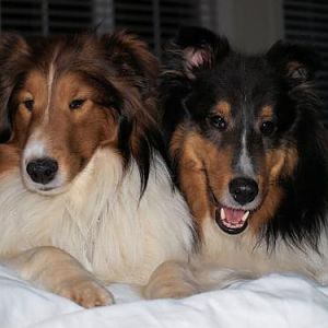 This picture is too funny - Just pretending we are best buds! See the fake smile on Indy's face...he's already plotting his next attack, and Bacca is