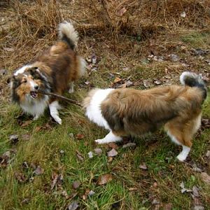 Annie and Beckon