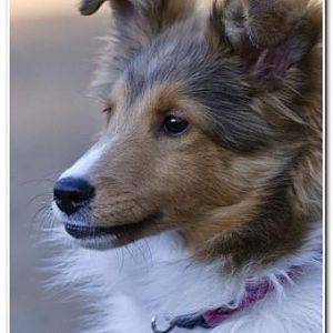 Little Lexi at the trial 2/10