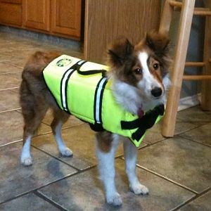 ready for canoe