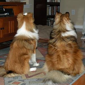 Can we have our treat now?!