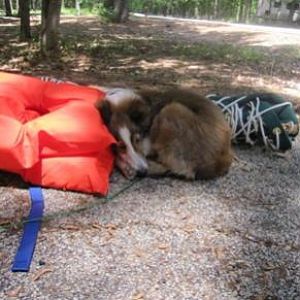 worn out and ready to go home