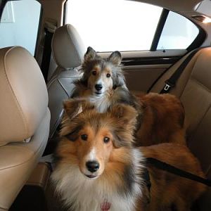 Where are we going?  Will there be cookies?