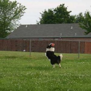 IMG 4212