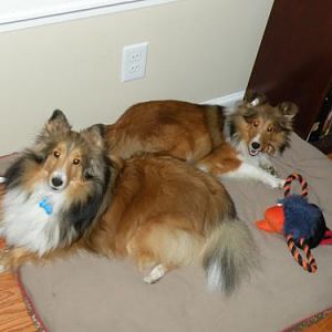 DSCN2305