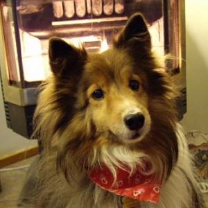 Louie 10th Birthday