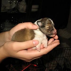 6 Days Old