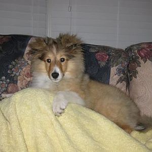 4 Months Old