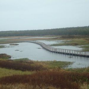 Camping in Prince Edward Island, this was a great hike in Greenwich National Park... Not supossed to take dogs, but there wasn't anybody else stupid e