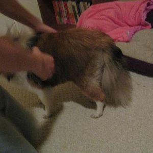 IMG 3369