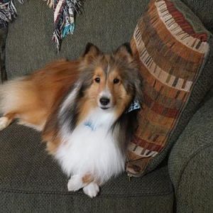 My handsome boy!