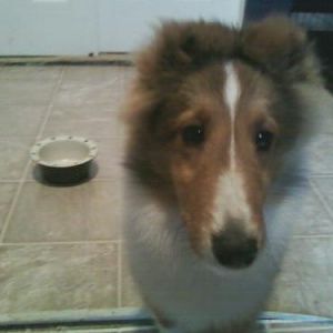First day Home