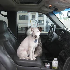 Can we go home now?