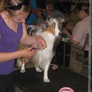 Nail trimming 101