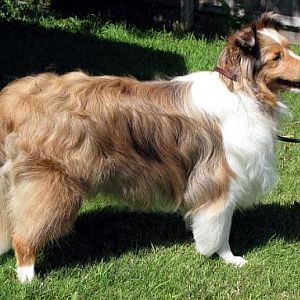 Profile