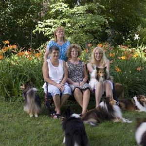 First visit with my Midwest Internet Sheltie Friends.