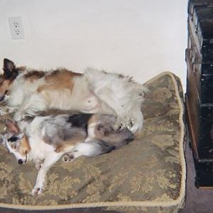 013 10A   The babies sleeping so peacefully.